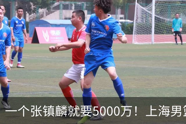一个张镇麟就要5000万！上海男篮太有钱，超出想象