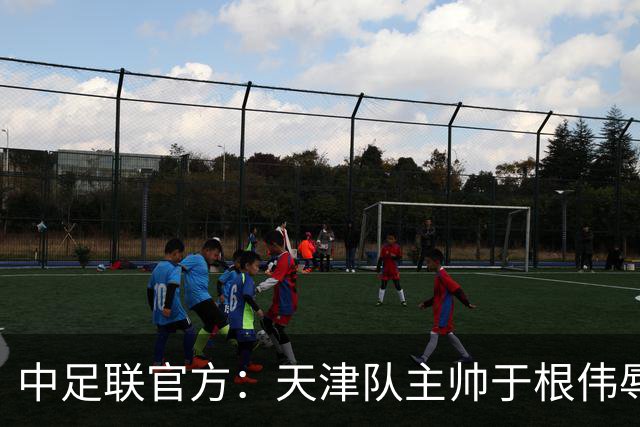 中足联官方：天津队主帅于根伟辱骂裁判 停赛5场罚款5万