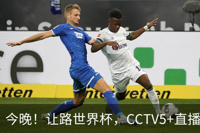 今晚！让路世界杯，CCTV5+直播中国女排VS法国，小将领衔冲击5连胜