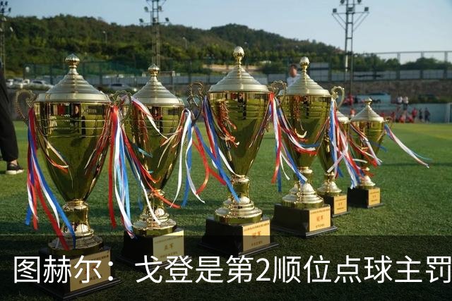 图赫尔：戈登是第2顺位点球主罚手 看到了球队对高温和气候的适应