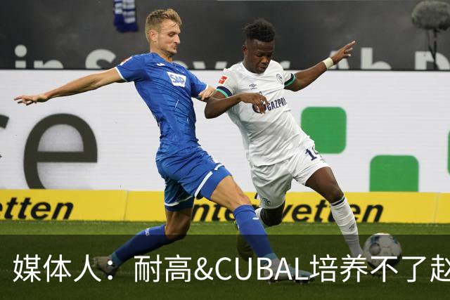 媒体人：耐高&CUBAL培养不了赵博新&张宇辰这些好苗子 赶紧送出国