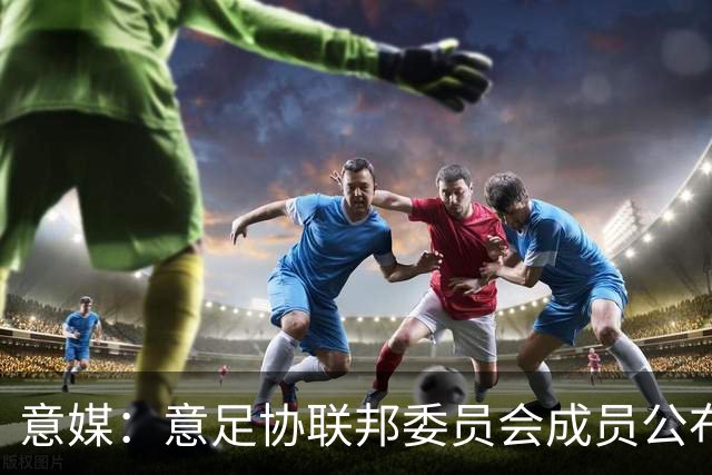 意媒：意足协联邦委员会成员公布，马洛塔和基耶利尼等人全员留任
