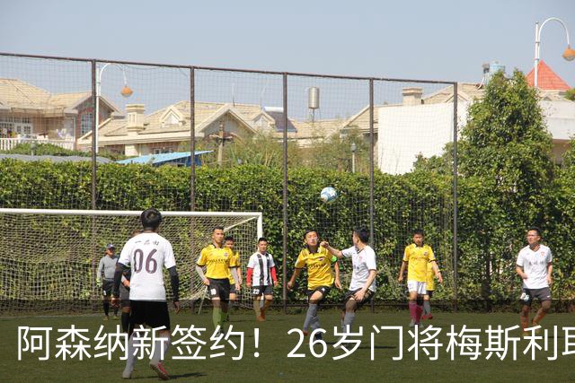 阿森纳新签约！26岁门将梅斯利耶免费加盟，成为拉亚的替补人选
