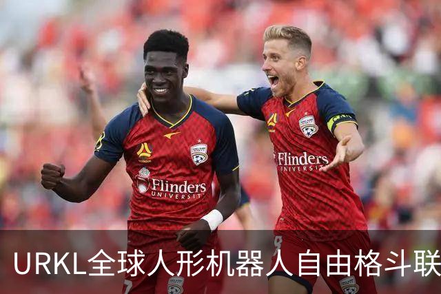URKL全球人形机器人自由格斗联赛揭幕赛打响